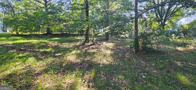 a view of outdoor space and yard