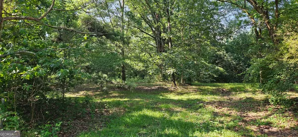 a view of outdoor space with deck and yard