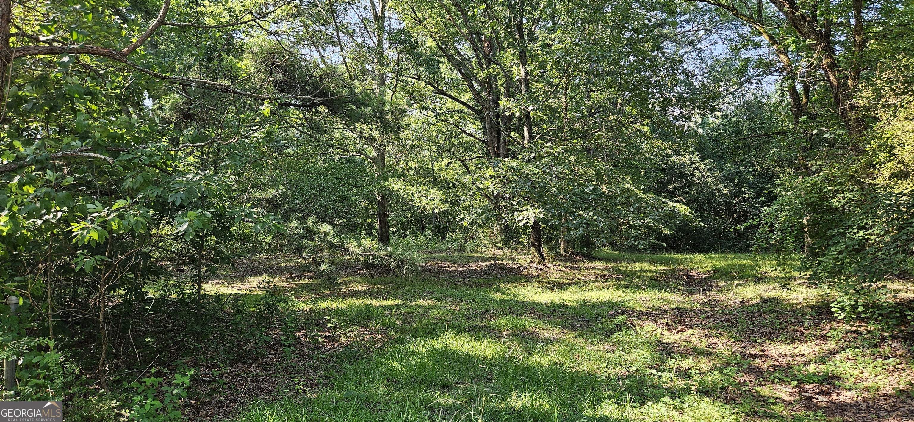 94 Matthews School Road Winder, GA 30680 - Photo 12 of 13 a view of a yard with a tree