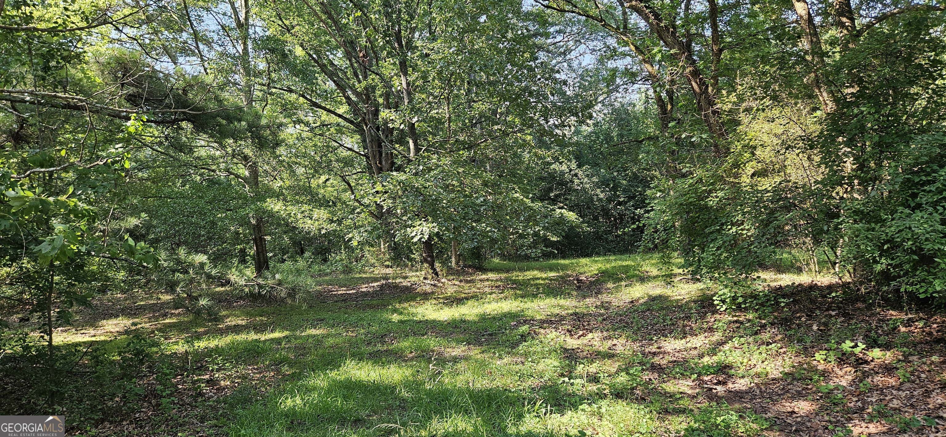 94 Matthews School Road Winder, GA 30680 - Photo 13 of 13 a view of a tree in a yard