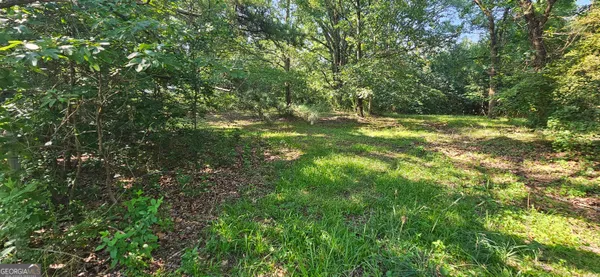 a view of outdoor space and yard