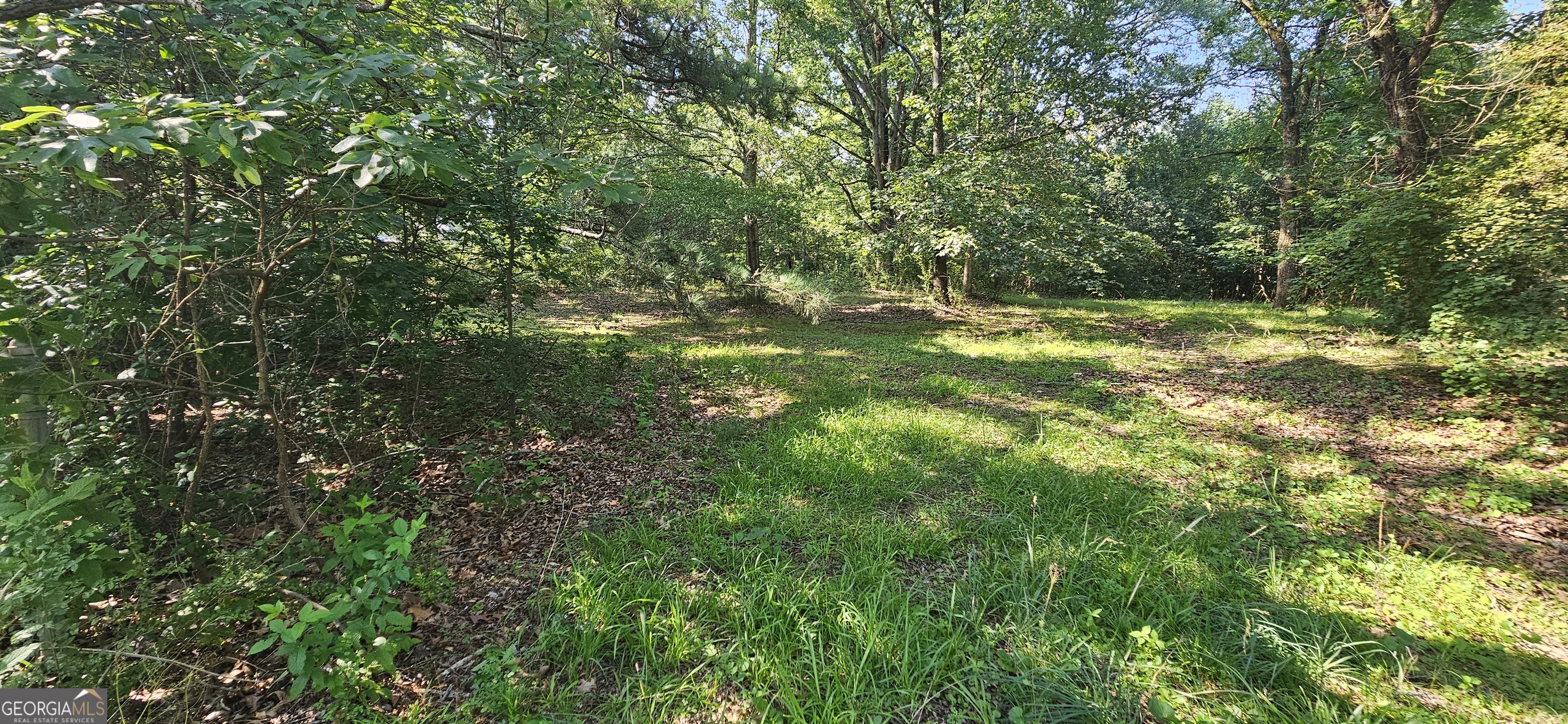 94 Matthews School Road Winder, GA 30680 - Photo 2 of 13 a view of outdoor space and yard