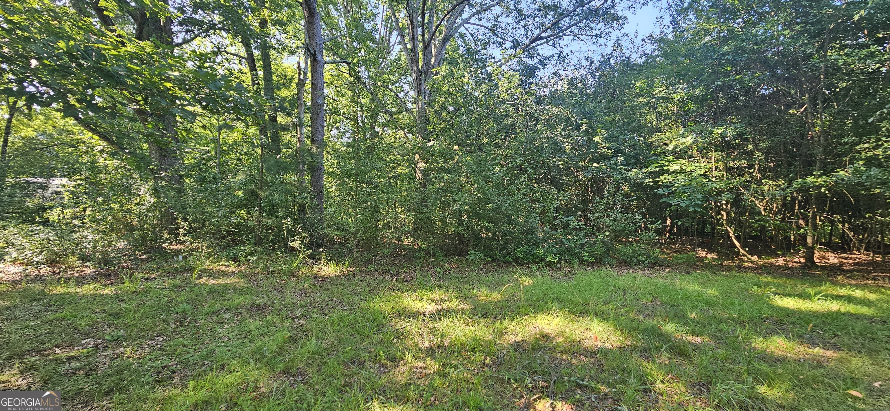 94 Matthews School Road Winder, GA 30680 - Photo 3 of 13 a view of outdoor space and yard