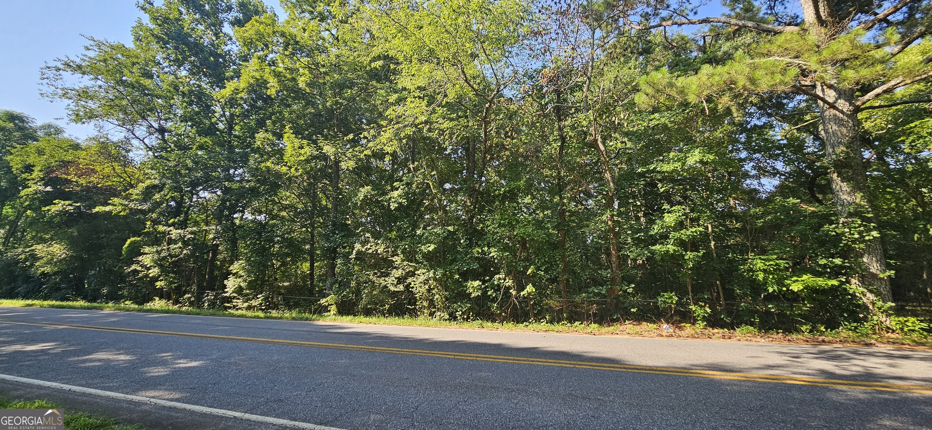 94 Matthews School Road Winder, GA 30680 - Photo 5 of 13 a view of a yard and a trees