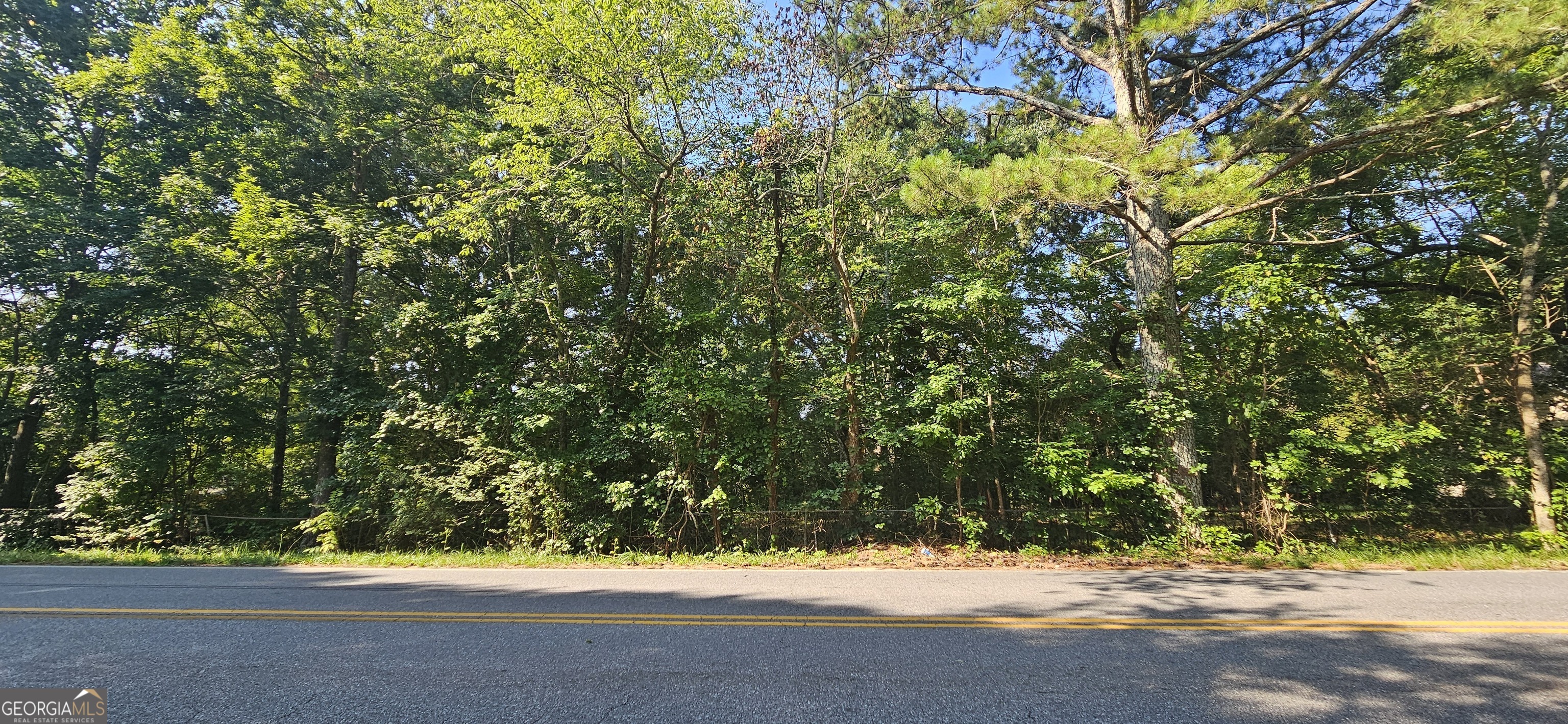 94 Matthews School Road Winder, GA 30680 - Photo 6 of 13 a view of a yard with a tree