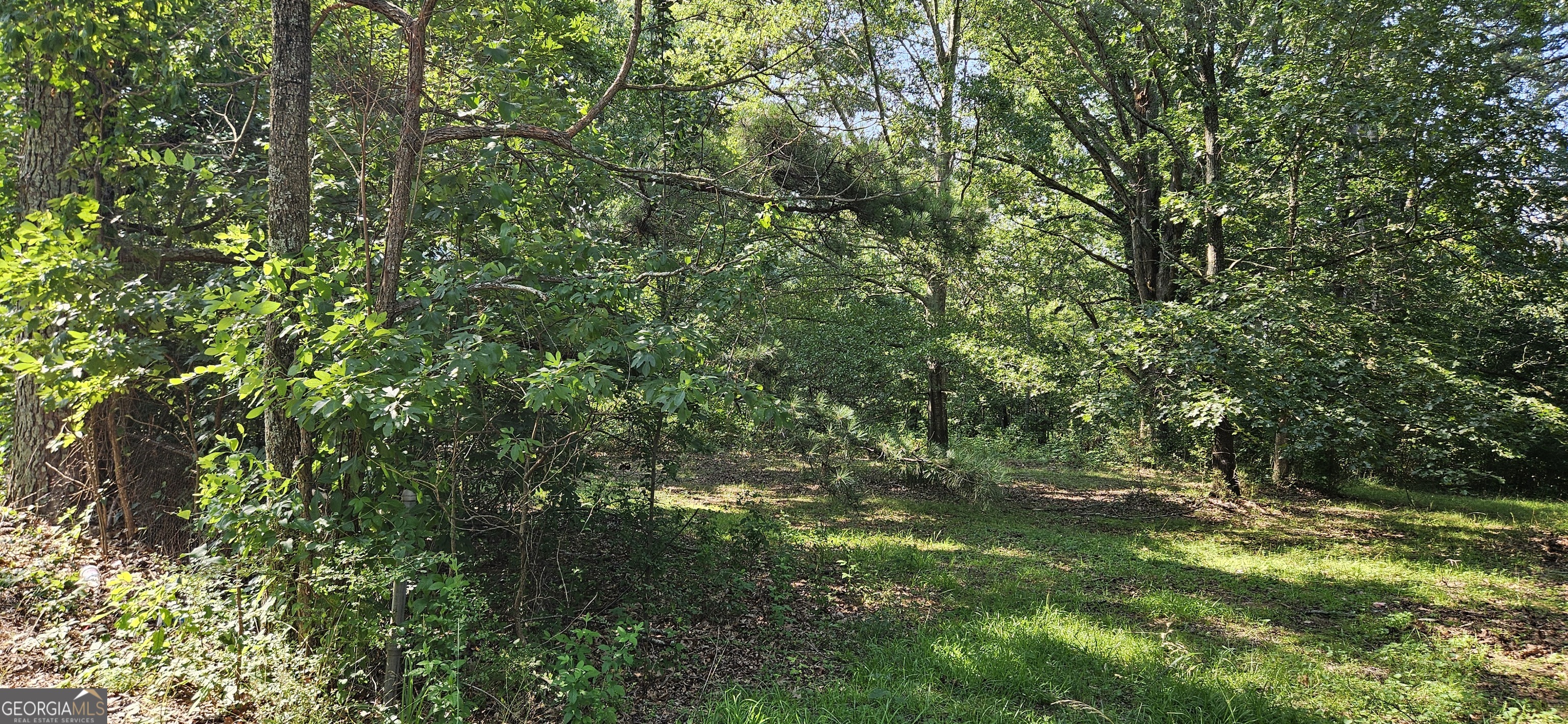 94 Matthews School Road Winder, GA 30680 - Photo 10 of 13 a view of a lush green forest