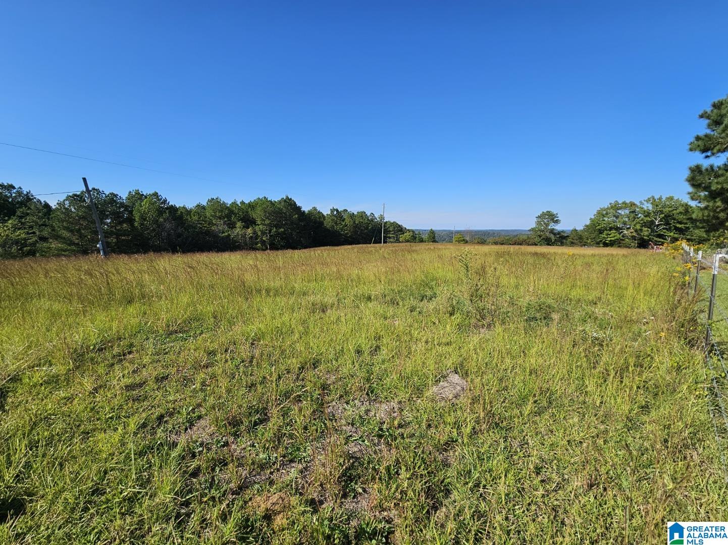 5288 Highway 27 Springville, AL 35146 - Photo 6 of 25