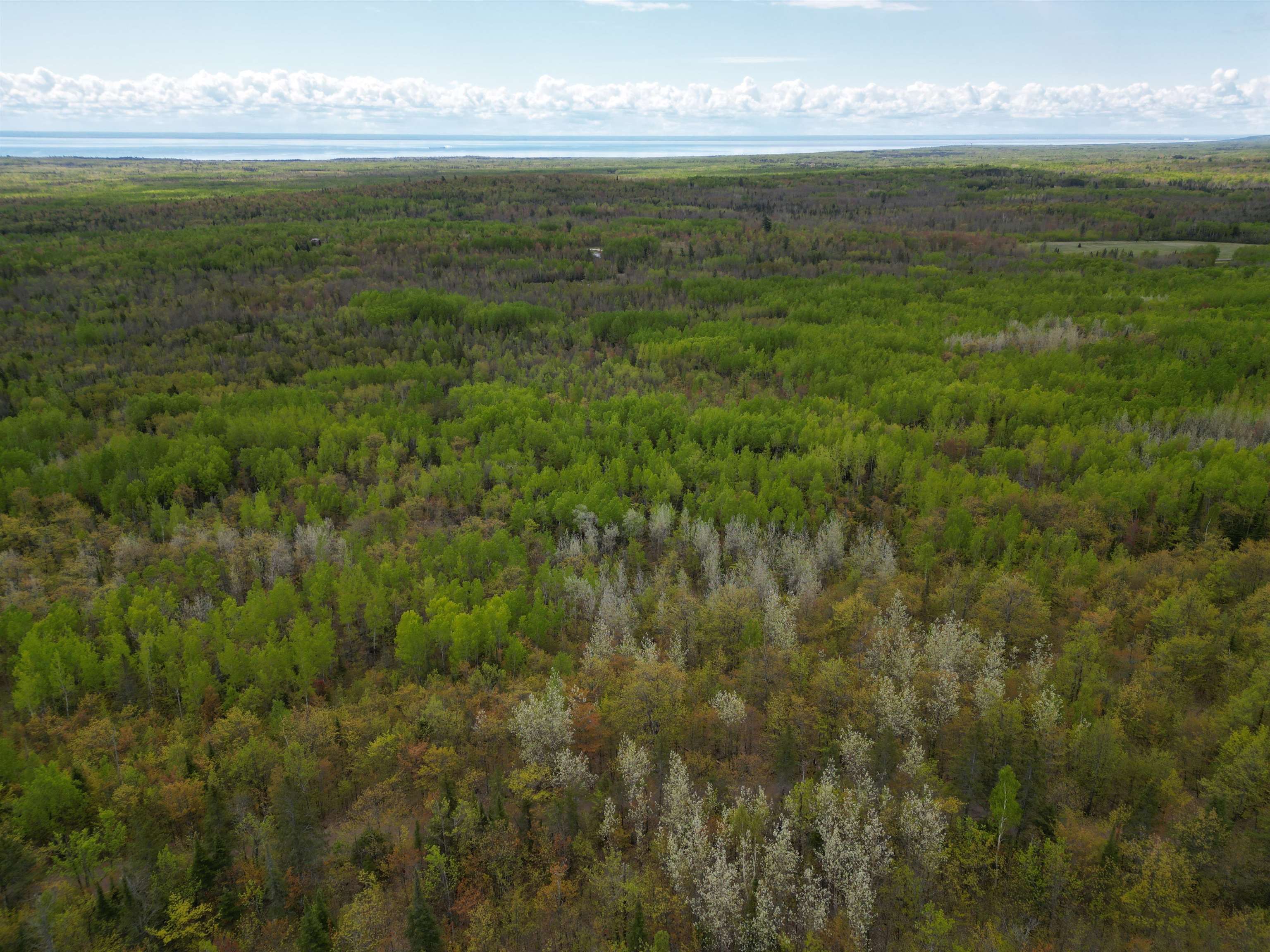 Xx Olson Road Two Harbors, MN 55616 - Photo 18 of 24