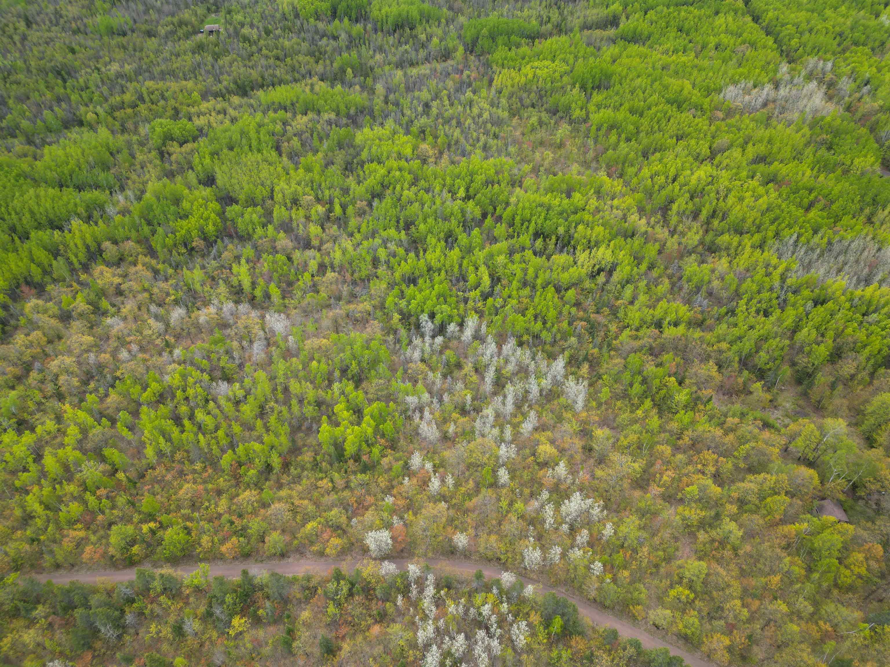 Xx Olson Road Two Harbors, MN 55616 - Photo 20 of 24