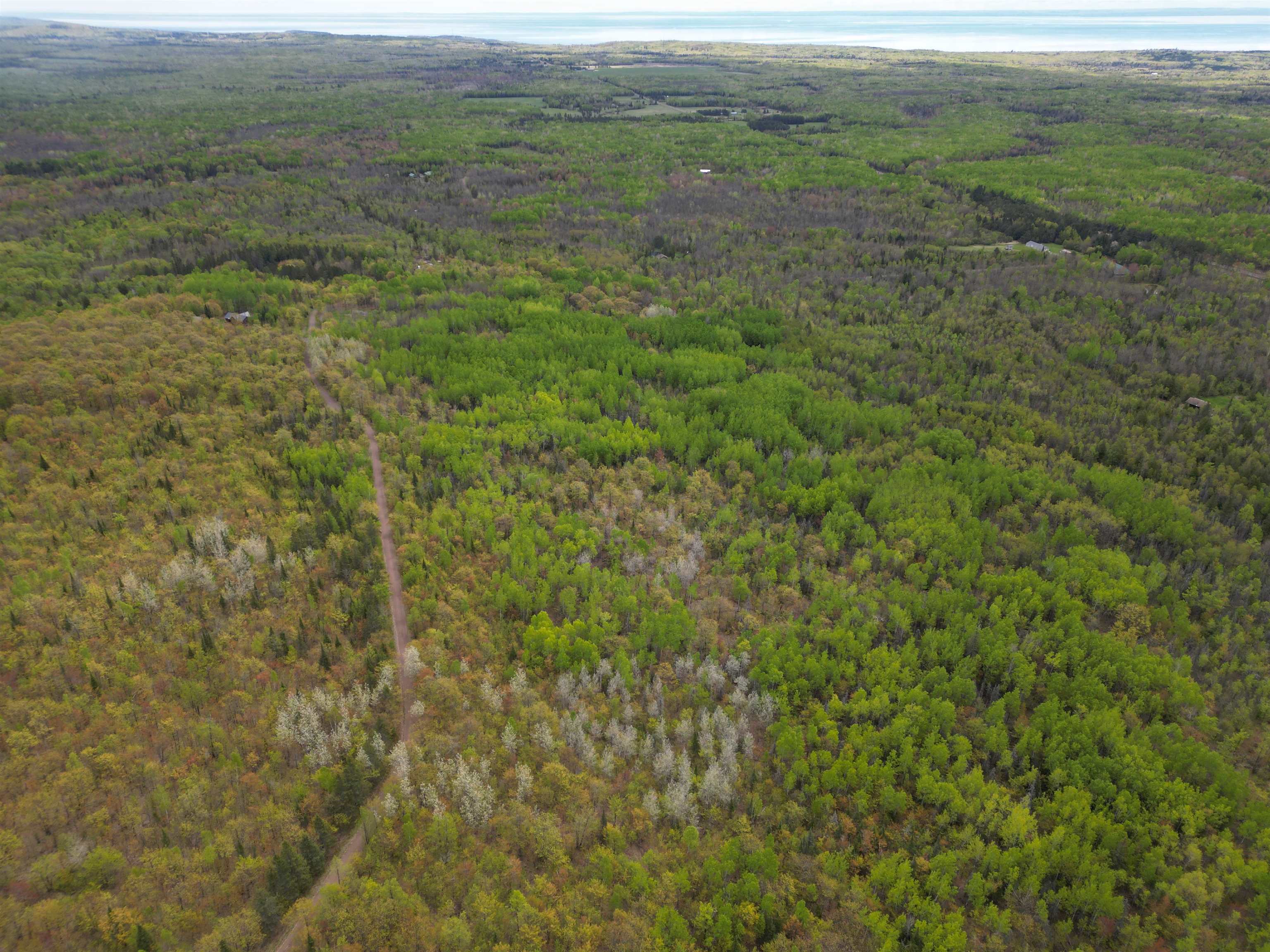 Xx Olson Road Two Harbors, MN 55616 - Photo 22 of 24