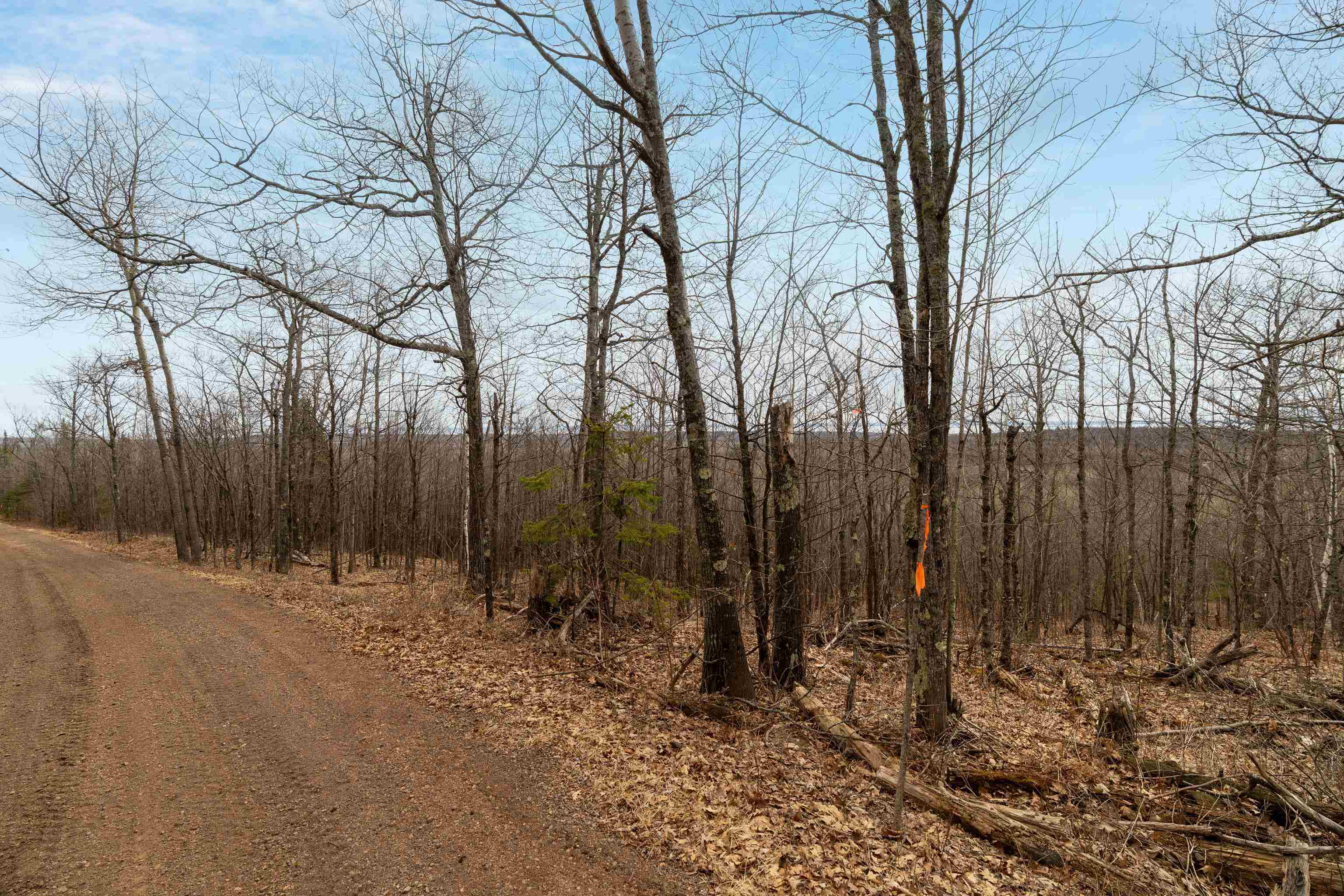 Xx Olson Road Two Harbors, MN 55616 - Photo 4 of 24