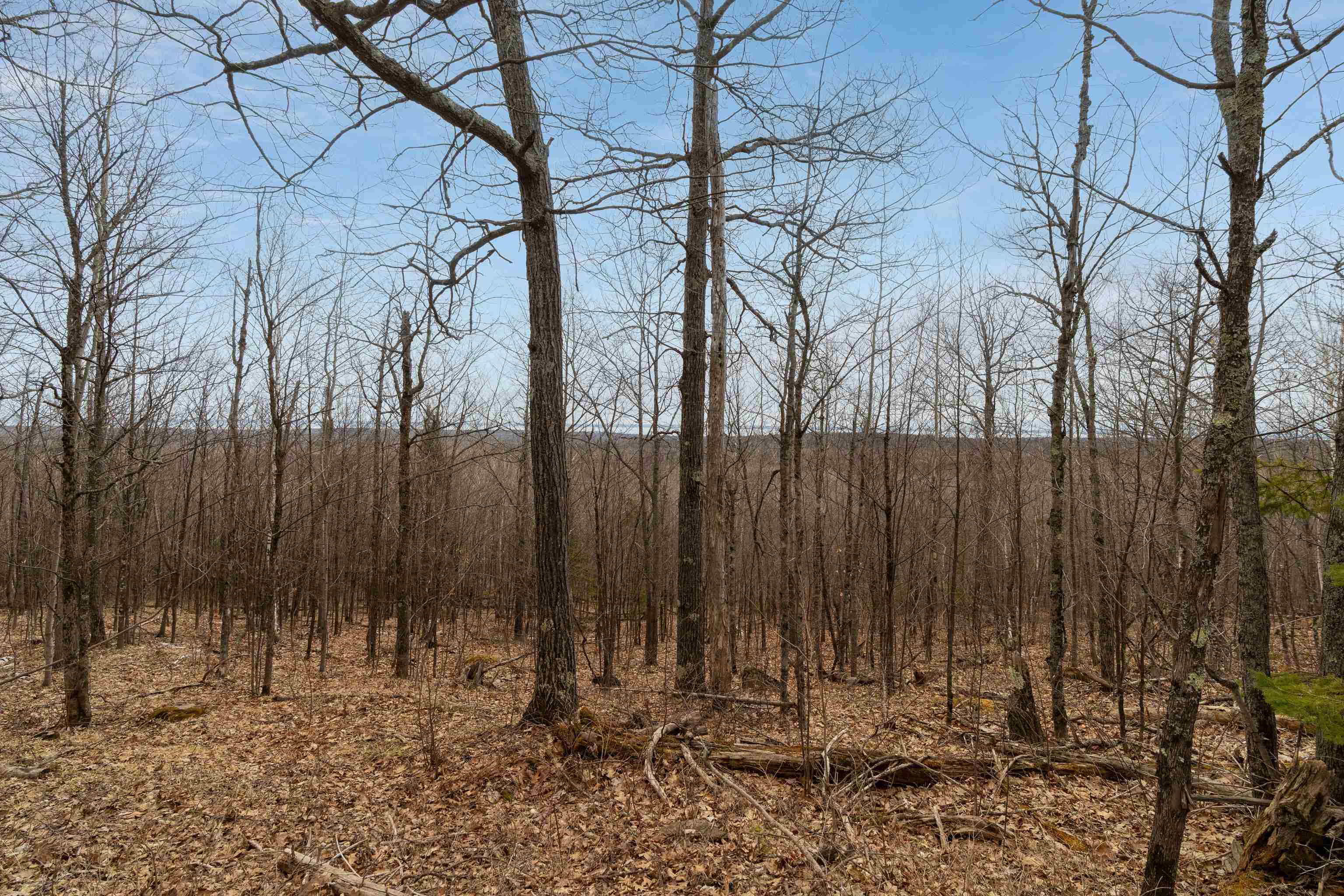 Xx Olson Road Two Harbors, MN 55616 - Photo 5 of 24