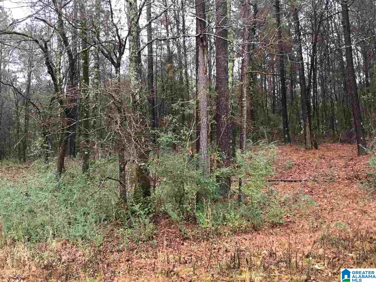 1285 Eureka Road, Unit 1 Lincoln, AL 35096 - Photo 33 of 37