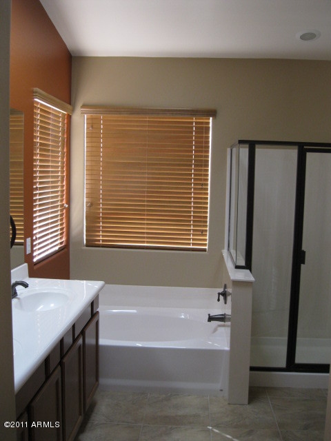 1553 East Bautista Road Gilbert, AZ 85297 - Photo 9 of 19 Master Bathroom