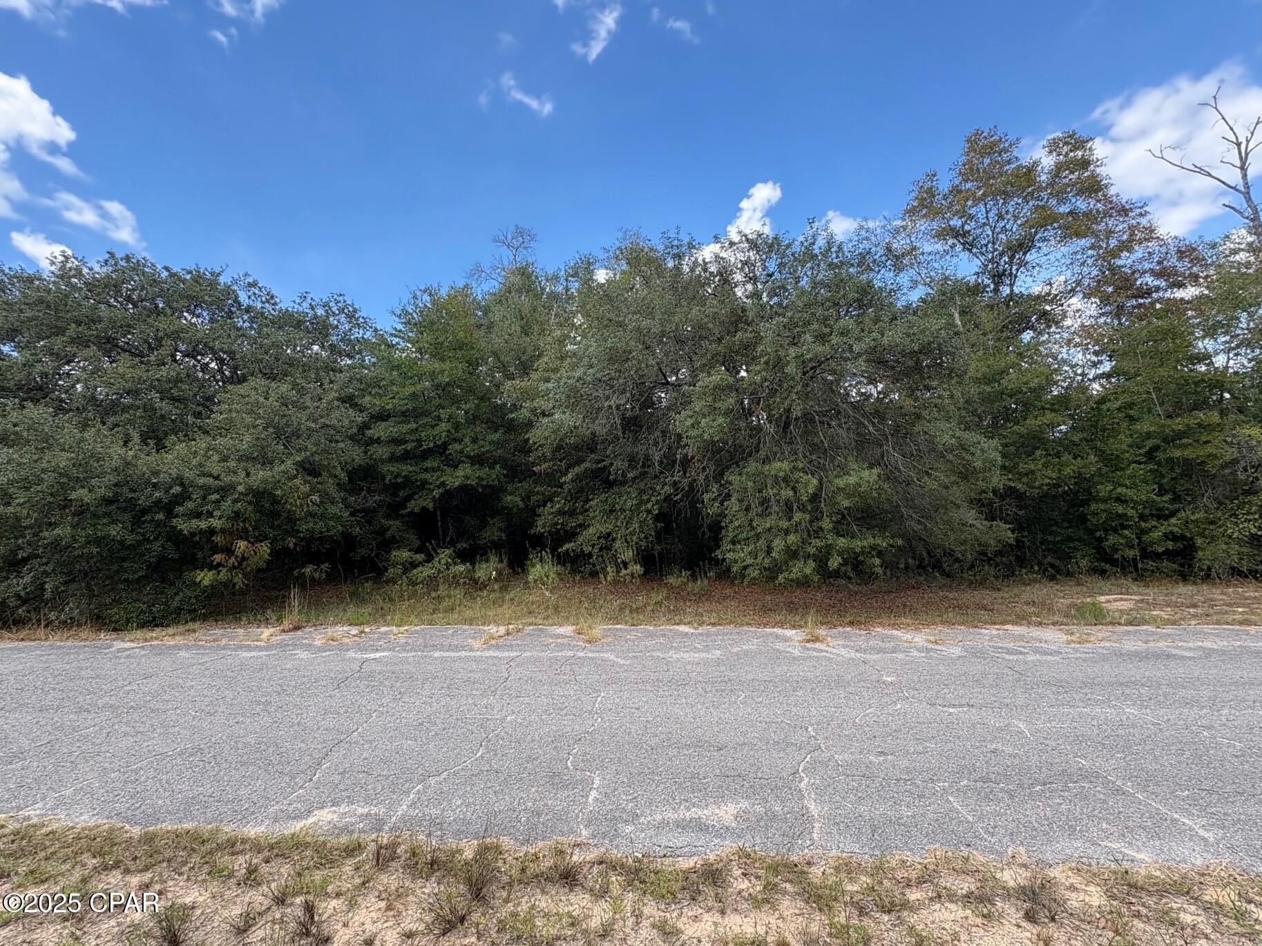 0 Diane Place Chipley, FL 32428 - Photo 3 of 4