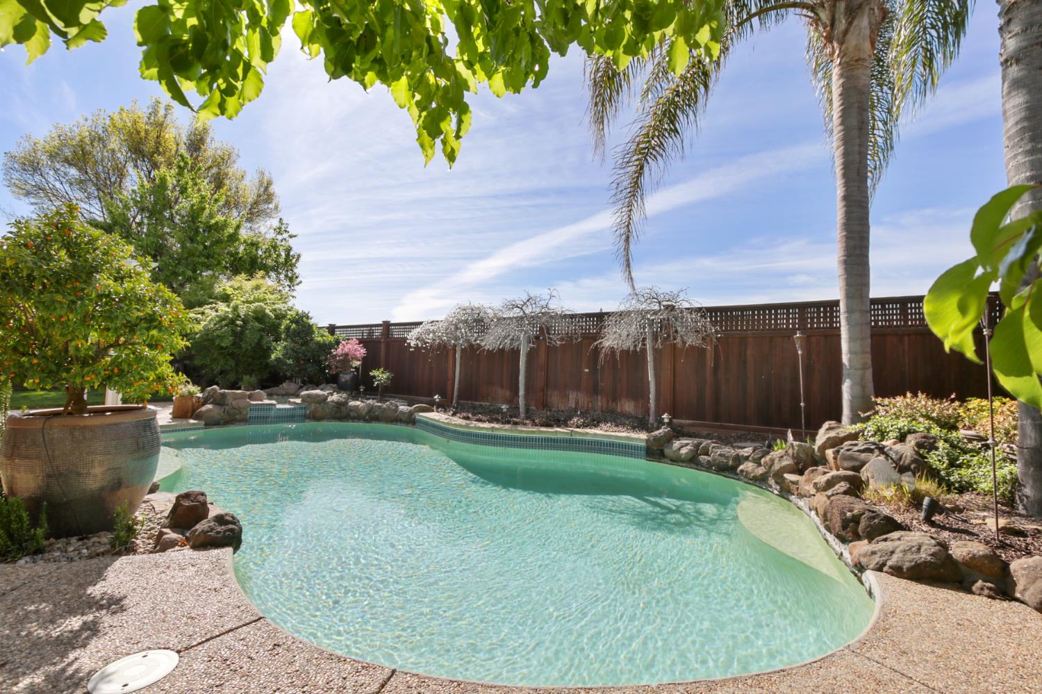 702 Shakeley Lane Ione, CA 95640 - Photo 61 of 71 a view of a backyard with plants and lake view