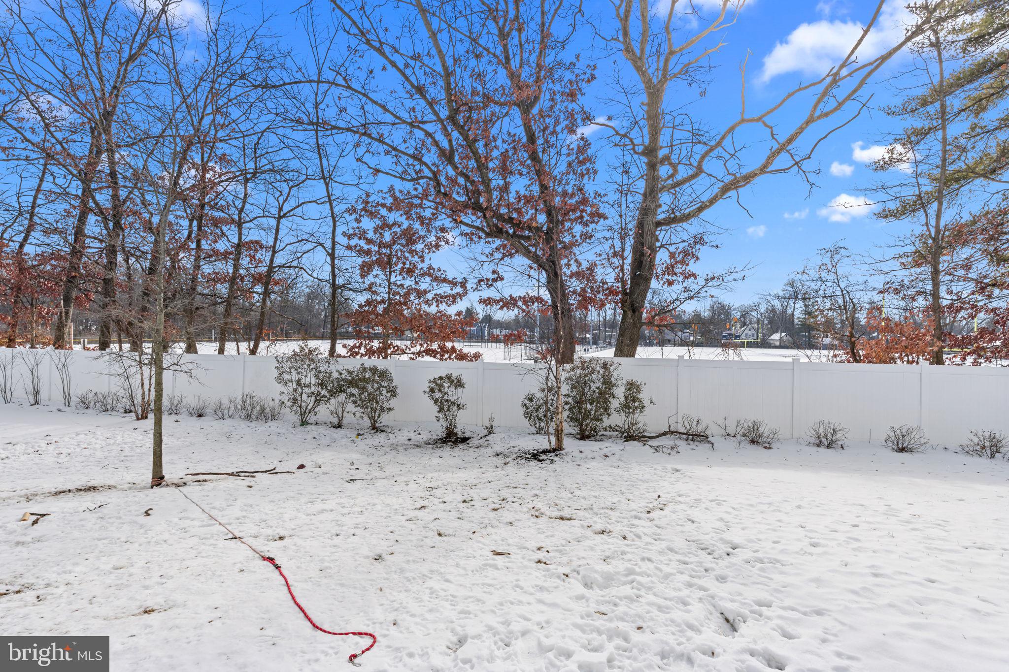 228 Park Lane Dunellen, NJ 08812 - Photo 27 of 35 a view of yard covered with snow