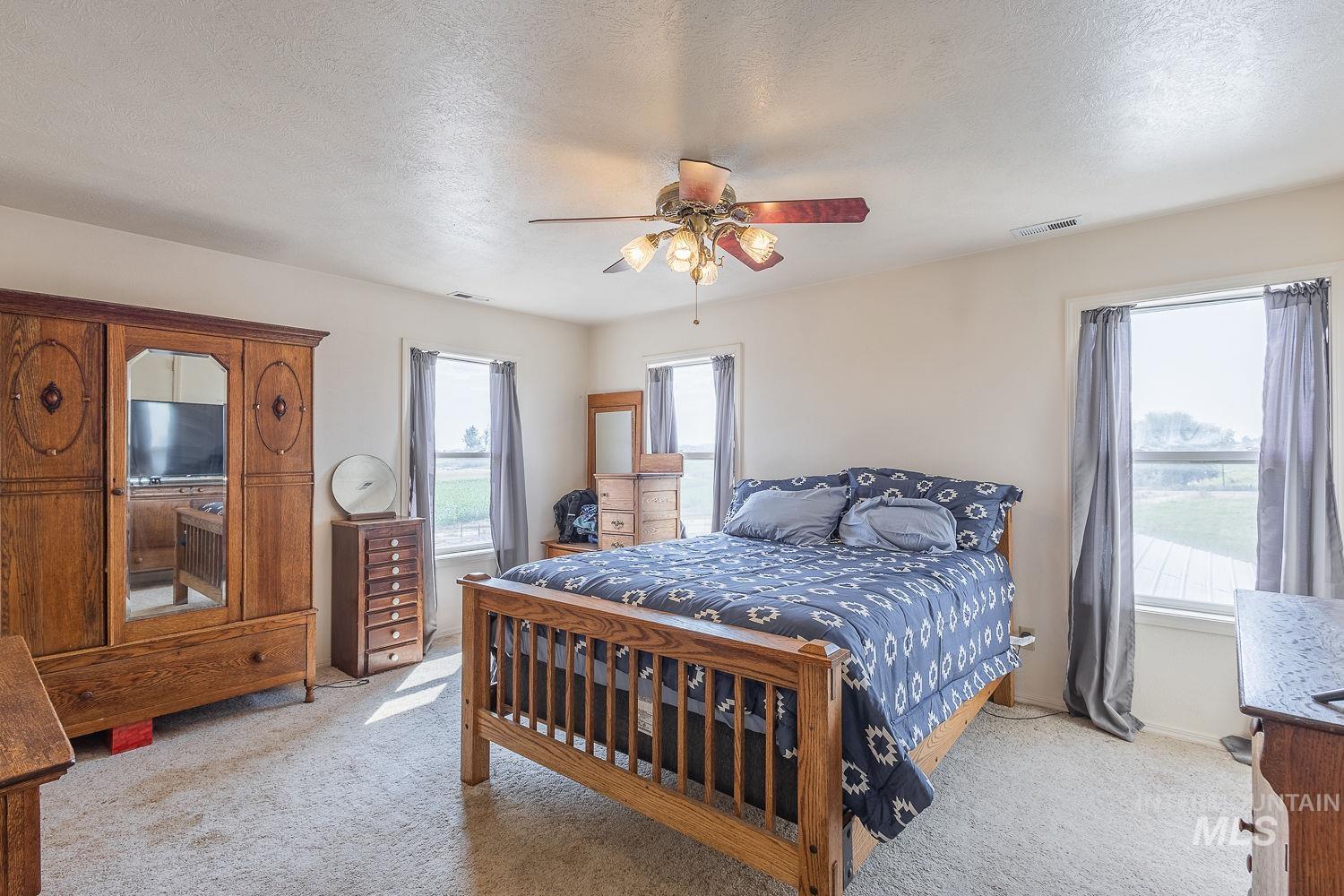6050 Elmore Road Fruitland, ID 83619 - Photo 16 of 48 Bedroom with a textured ceiling, light carpet, multiple windows, and ceiling fan
