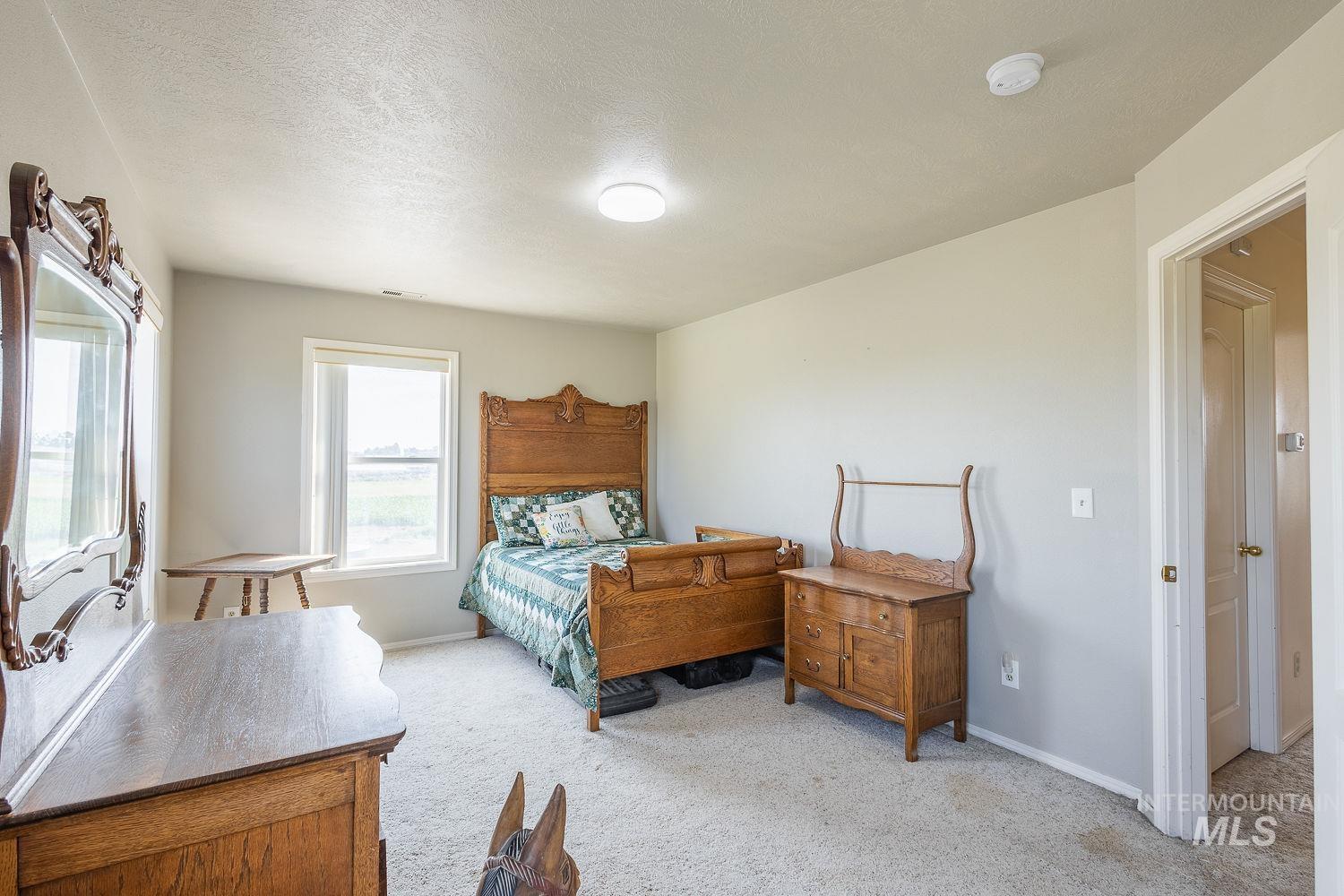 6050 Elmore Road Fruitland, ID 83619 - Photo 19 of 48 Bedroom with light carpet and a textured ceiling