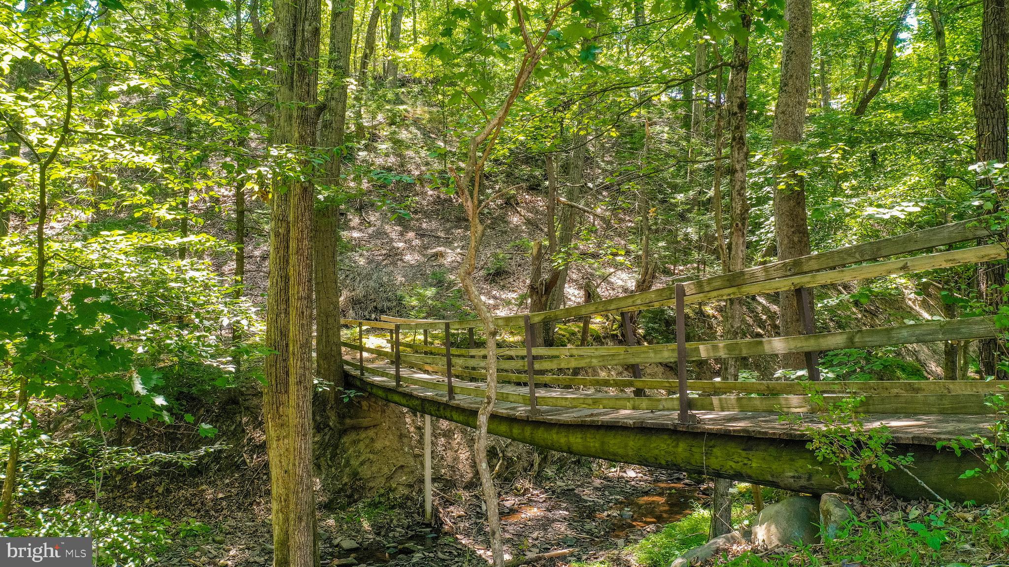 12718 Gramlich Road Southwest La Vale, MD 21502 - Photo 63 of 70 ISN'T THIS AMAZING! HOW COOL!
