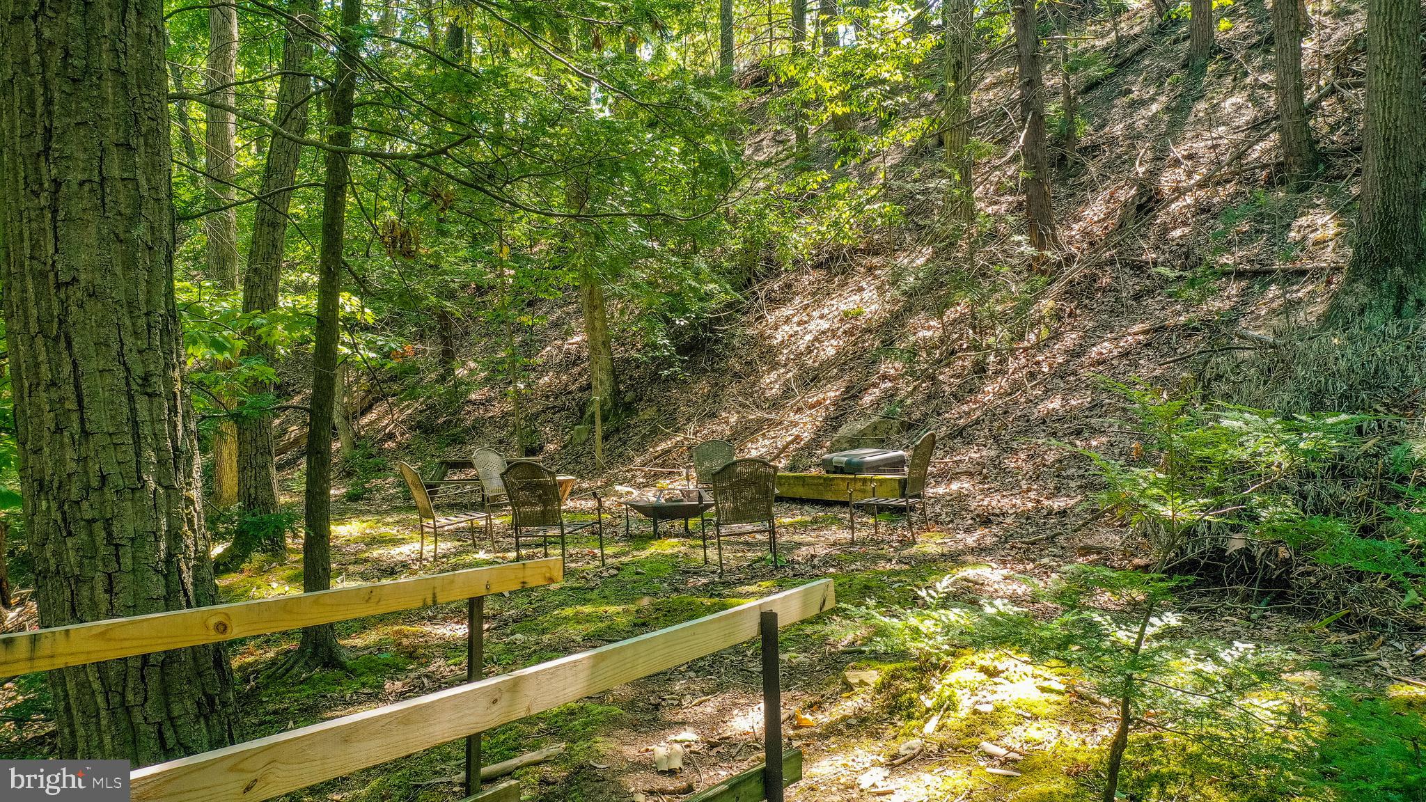 12718 Gramlich Road Southwest La Vale, MD 21502 - Photo 64 of 70 Cleared area for tents, picnics and chillin'!
