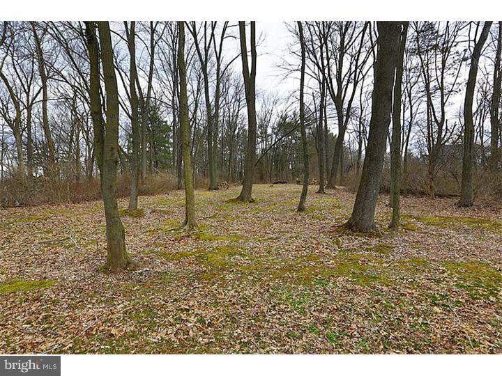 1108 Greystone Road Ambler, PA 19002 - Photo 24 of 24 View in Back