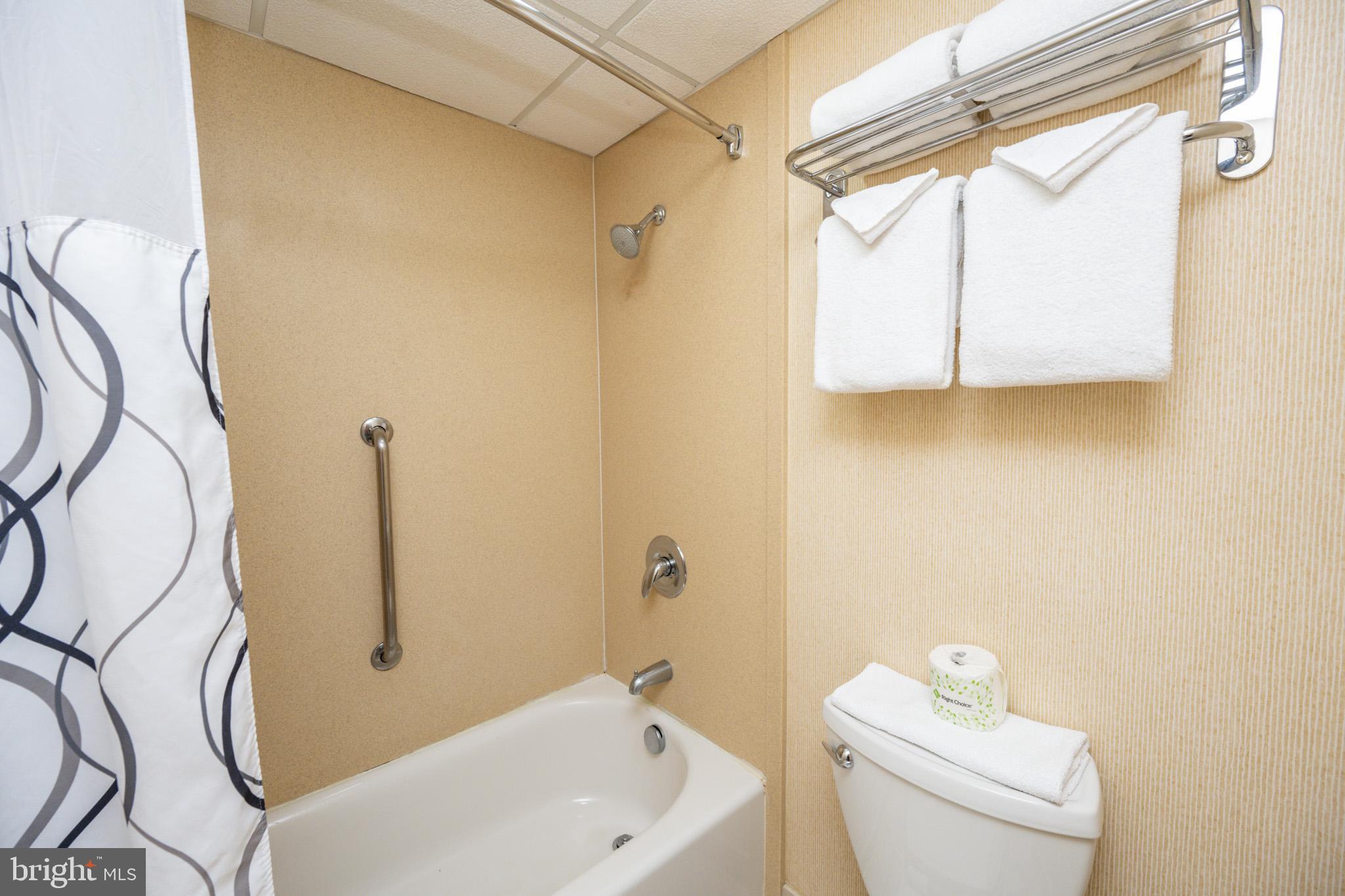 290 Marsh Hill Road, Unit 404G McHenry, MD 21541 - Photo 30 of 63 a bathroom with a sink a toilet and a mirror