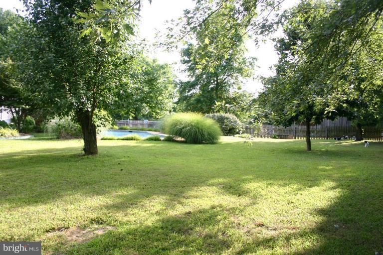 2875 Holland Cliffs Road Huntingtown, MD 20639 - Photo 5 of 17 Back yard