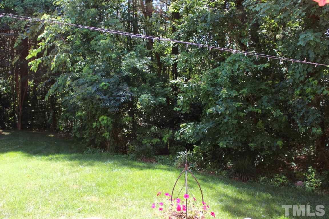 2423 Condor Court Raleigh, NC 27615 - Photo 19 of 20