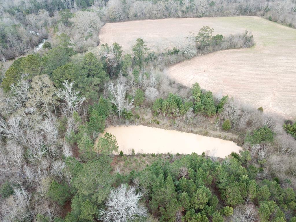 50.45-acres Trawick Road Dothan, AL 36301 - Photo 43 of 62