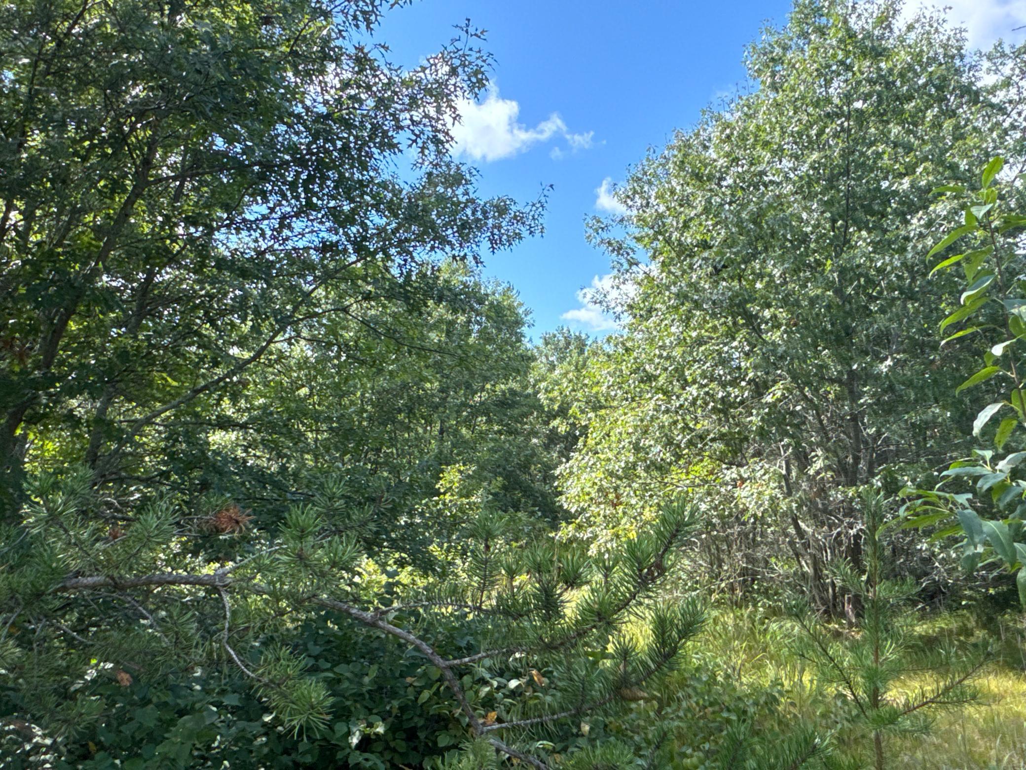 4 Hayden Lake Road Danbury, WI 54830 - Photo 1 of 1 Gallery Image 1