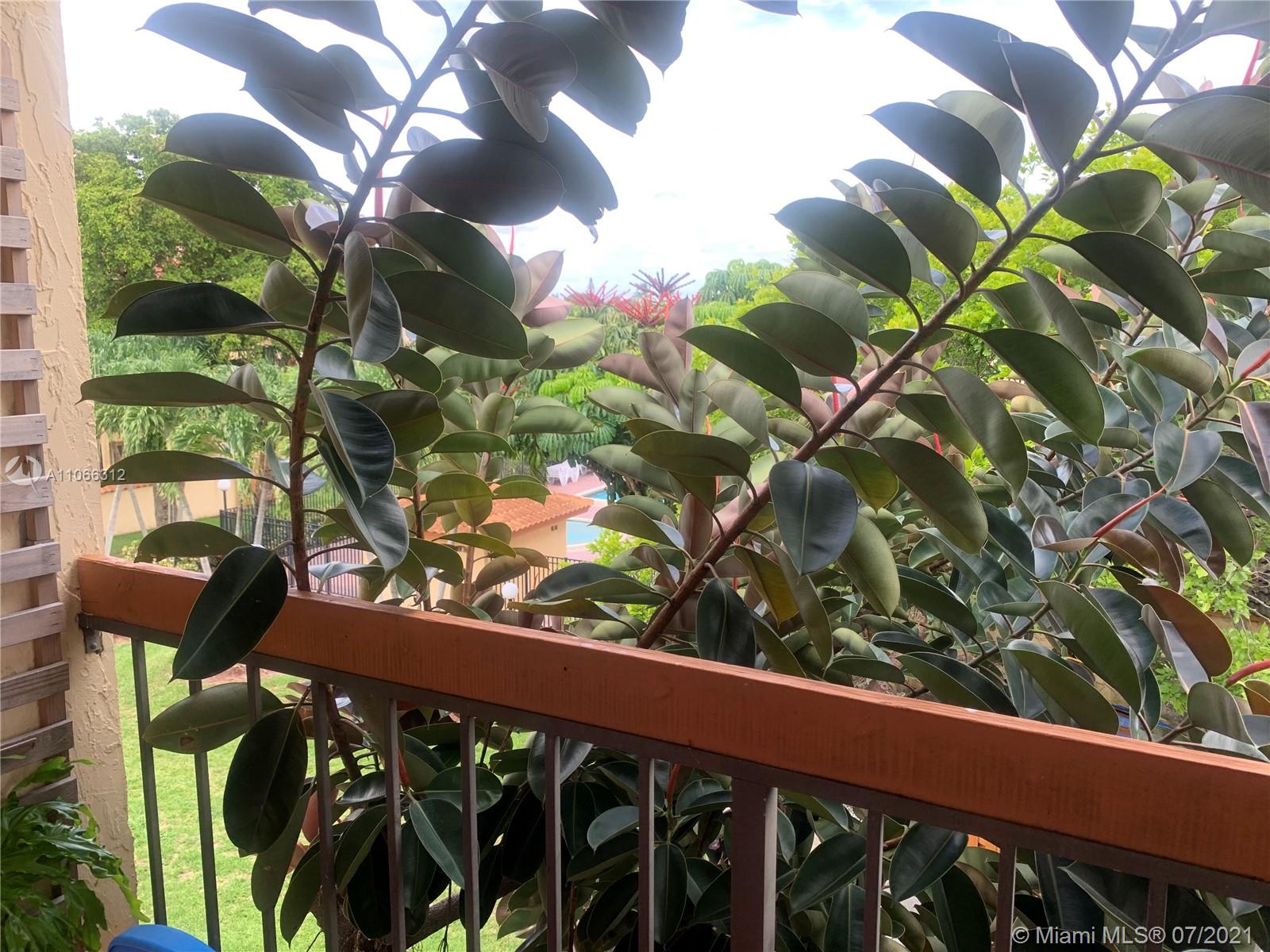 4018 Del Rio Way, Unit 4018 Sunrise, FL 33351 - Photo 55 of 94 a view of a flower in a garden