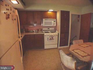 1233 Hoffman Road Ambler, PA 19002 - Photo 6 of 6 Gallery Image 6