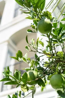 a en suite bathroom with a sink double vanity granite and a mirror