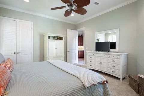 a view of a garden with a trampoline