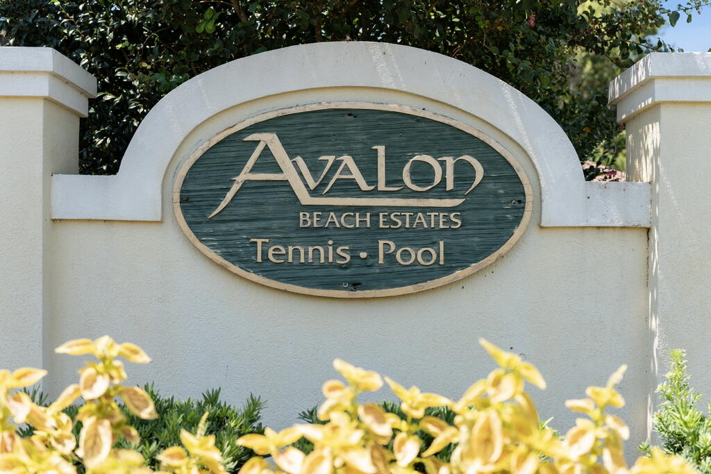 59 Ballamore Cove Miramar Beach, FL 32550 - Photo 95 of 101 54_1