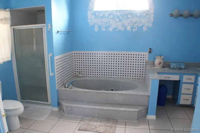 a bathroom with a bathtub and a toilet