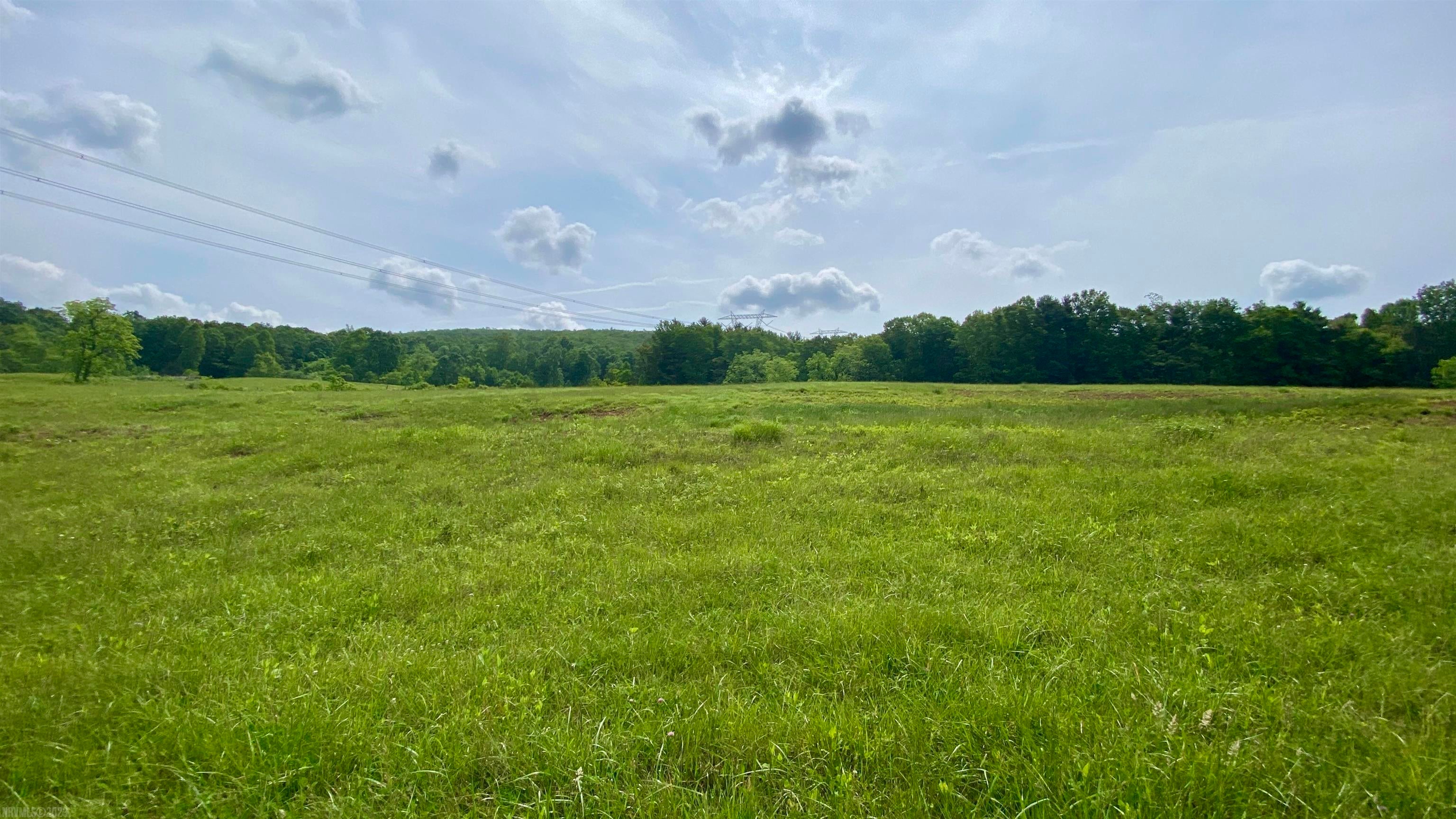 Tbd Castleton Road Max Meadows, VA 24360 - Photo 5 of 37 Gallery Image 5
