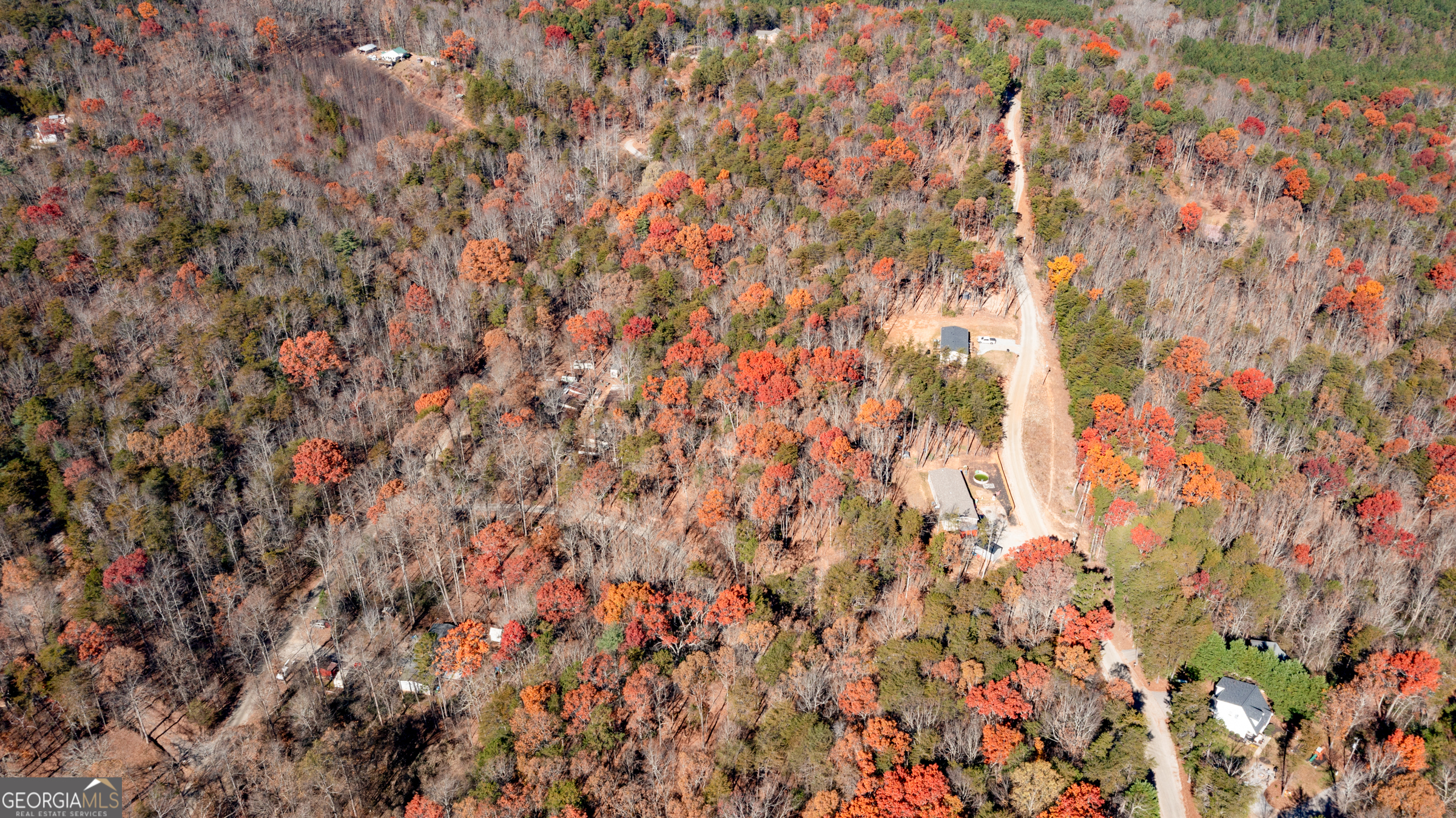 Lot 124 Mountain View Road Dawsonville, GA 30534 - Photo 11 of 15 a close up view of plant