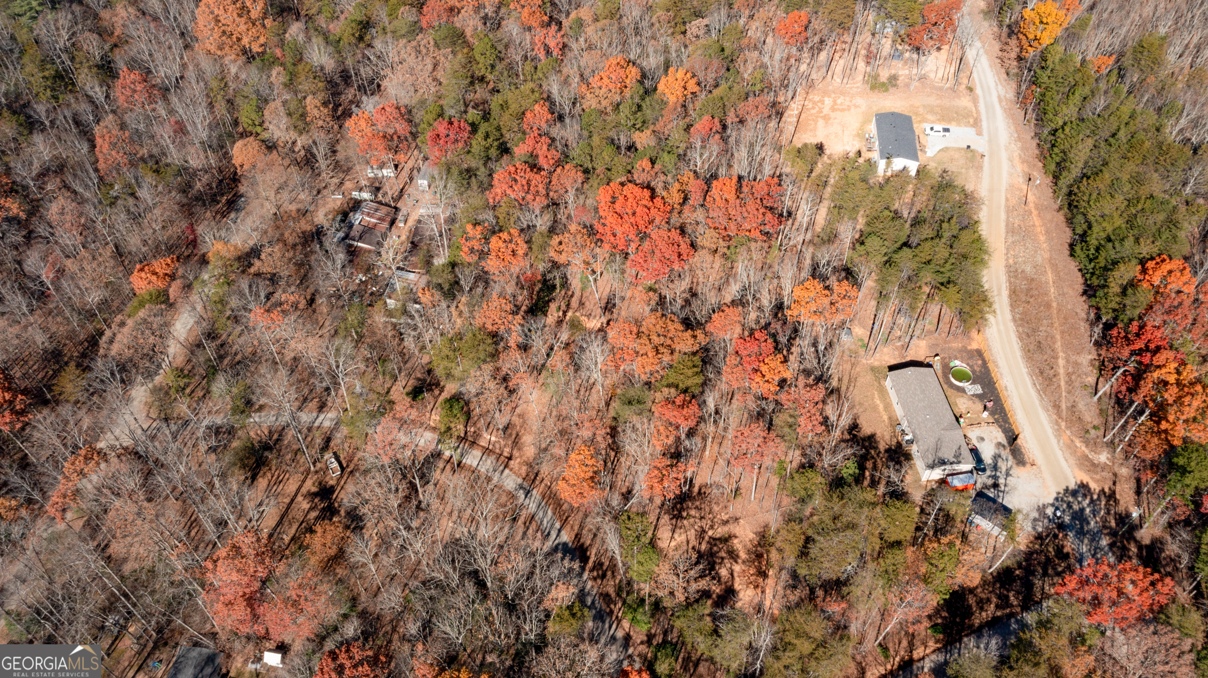 Lot 124 Mountain View Road Dawsonville, GA 30534 - Photo 12 of 15 a view of tree