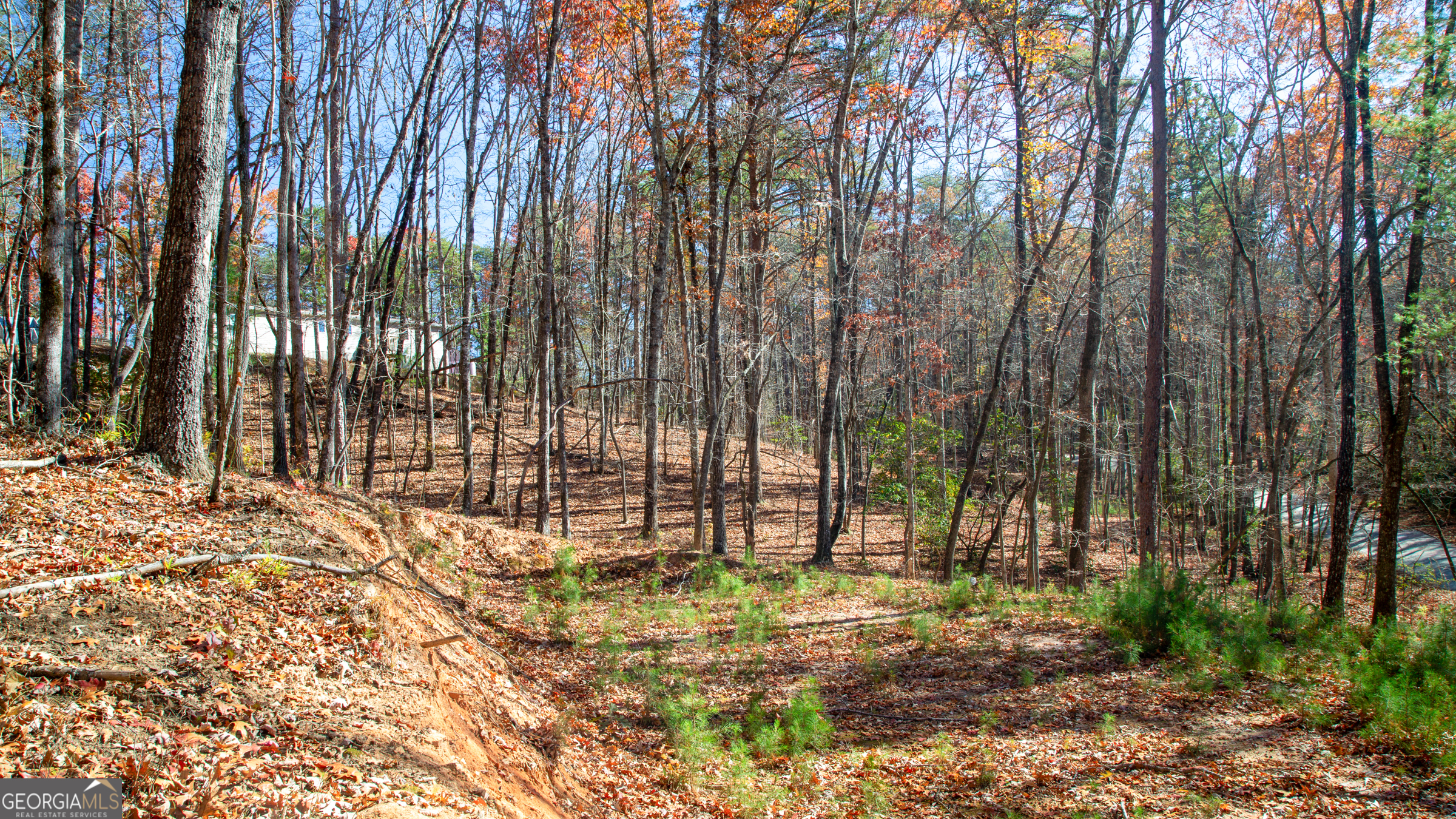 Lot 124 Mountain View Road Dawsonville, GA 30534 - Photo 4 of 15