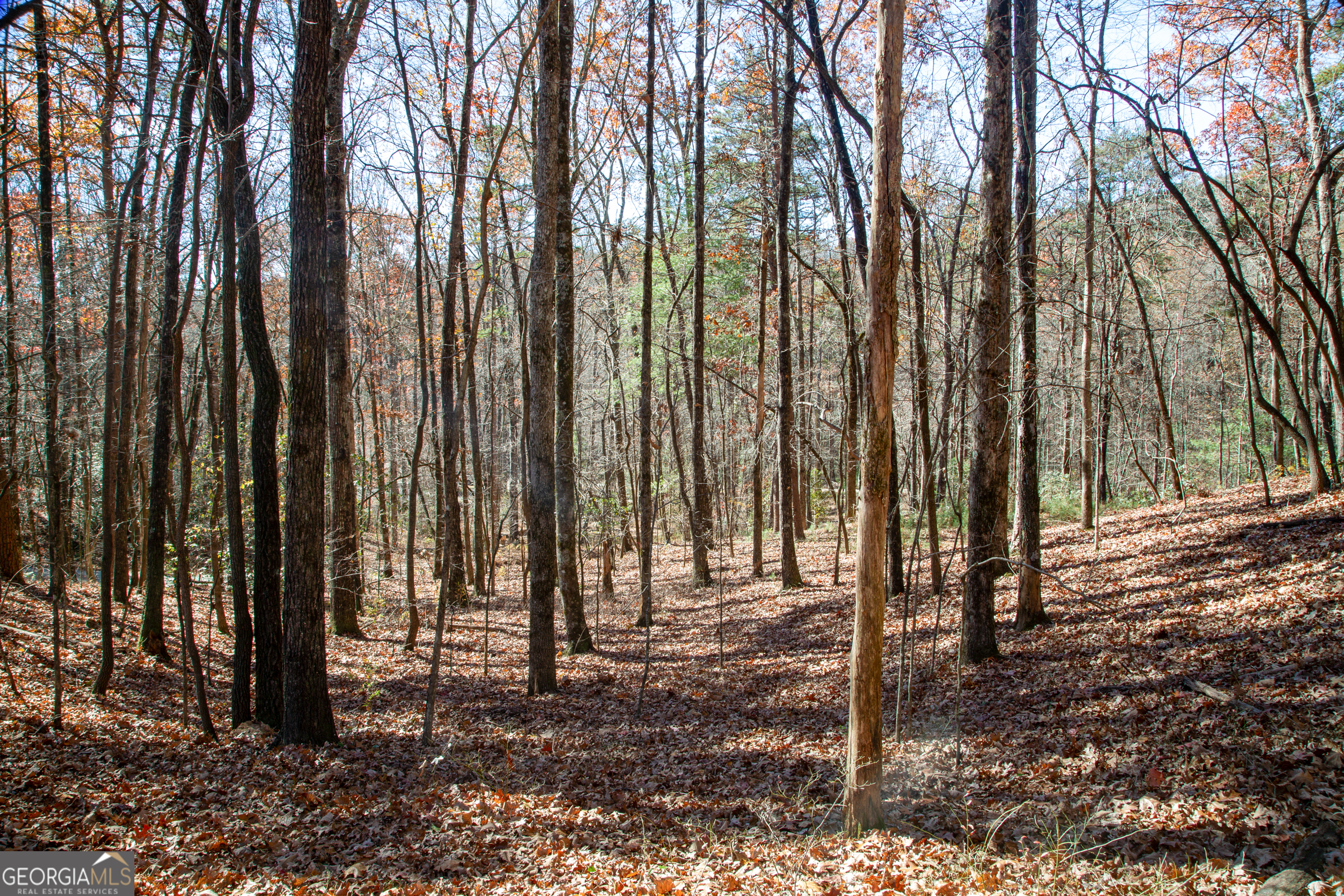 Lot 124 Mountain View Road Dawsonville, GA 30534 - Photo 6 of 15 a view of outdoor space with deck