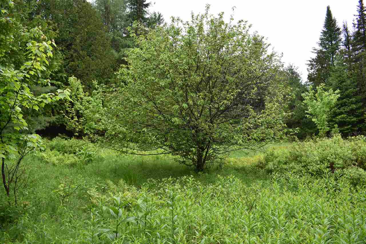 0 Chamberlin Hill Road Irasburg, VT 05845 - Photo 12 of 17 Gallery Image 12