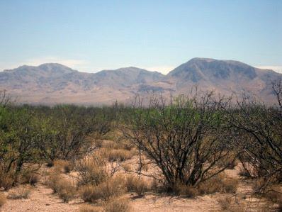0 East Sulphur Canyon Road San Simon, AZ 85632 - Photo 2 of 8