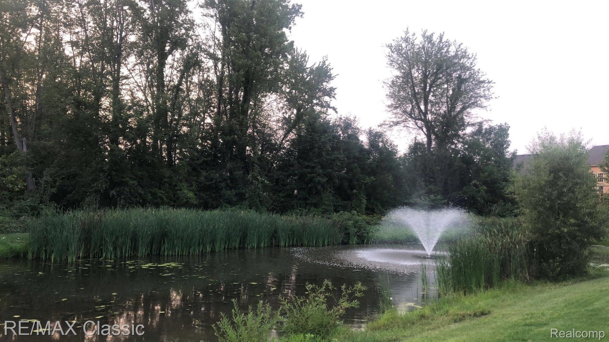 27123 Victoria Road Novi, MI 48374 - Photo 79 of 80 Pond