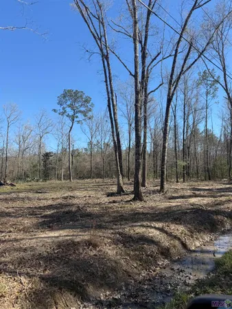 $25,000 | Lot 7 Music Lane, Springfield, LA 70462
