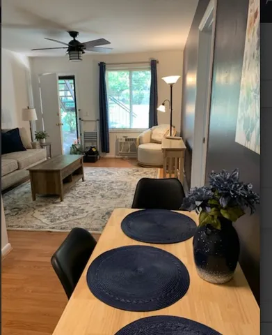 a living room with furniture and a potted plant