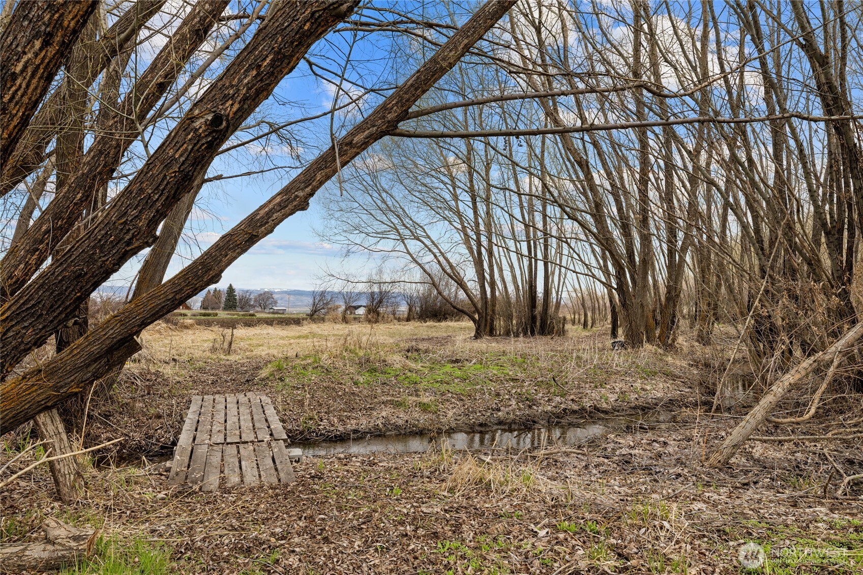 5331 Hanson Road Ellensburg, WA 98926 - Photo 32 of 40 Gallery Image 32