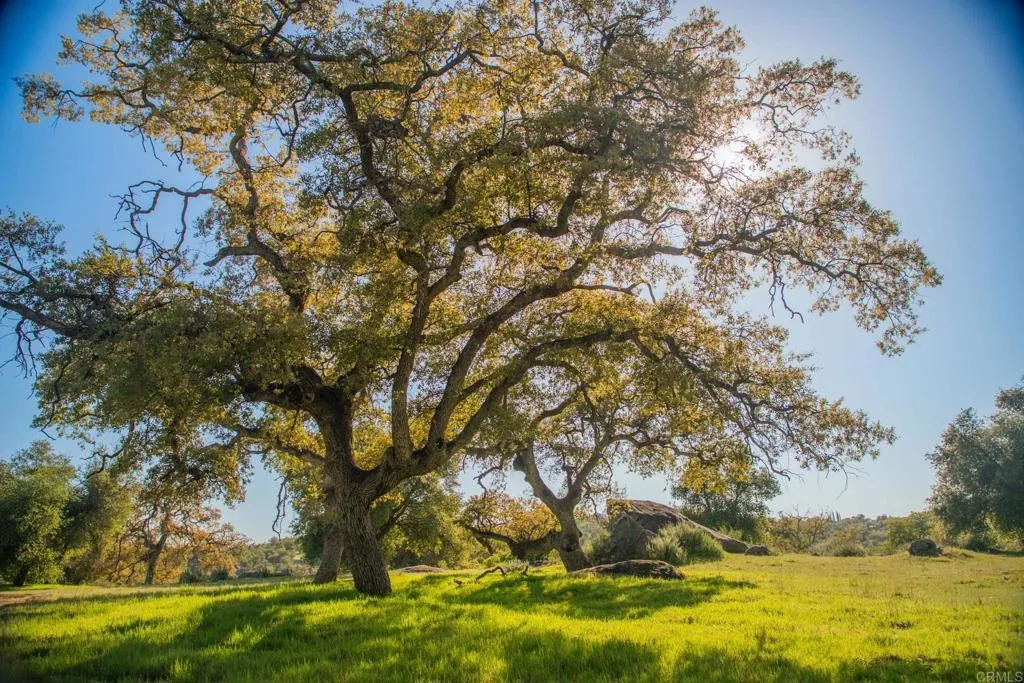 0 Littlepage Road Ramona, CA 92065 - Photo 17 of 28 Gallery Image 17