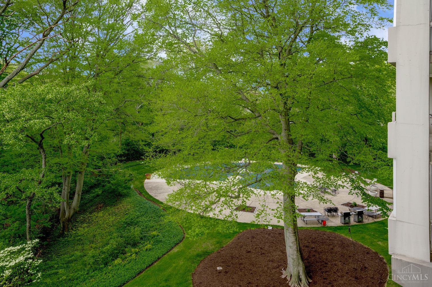 2324 Madison Road, Unit 302 Cincinnati, OH 45208 - Photo 19 of 39 Gallery Image 19